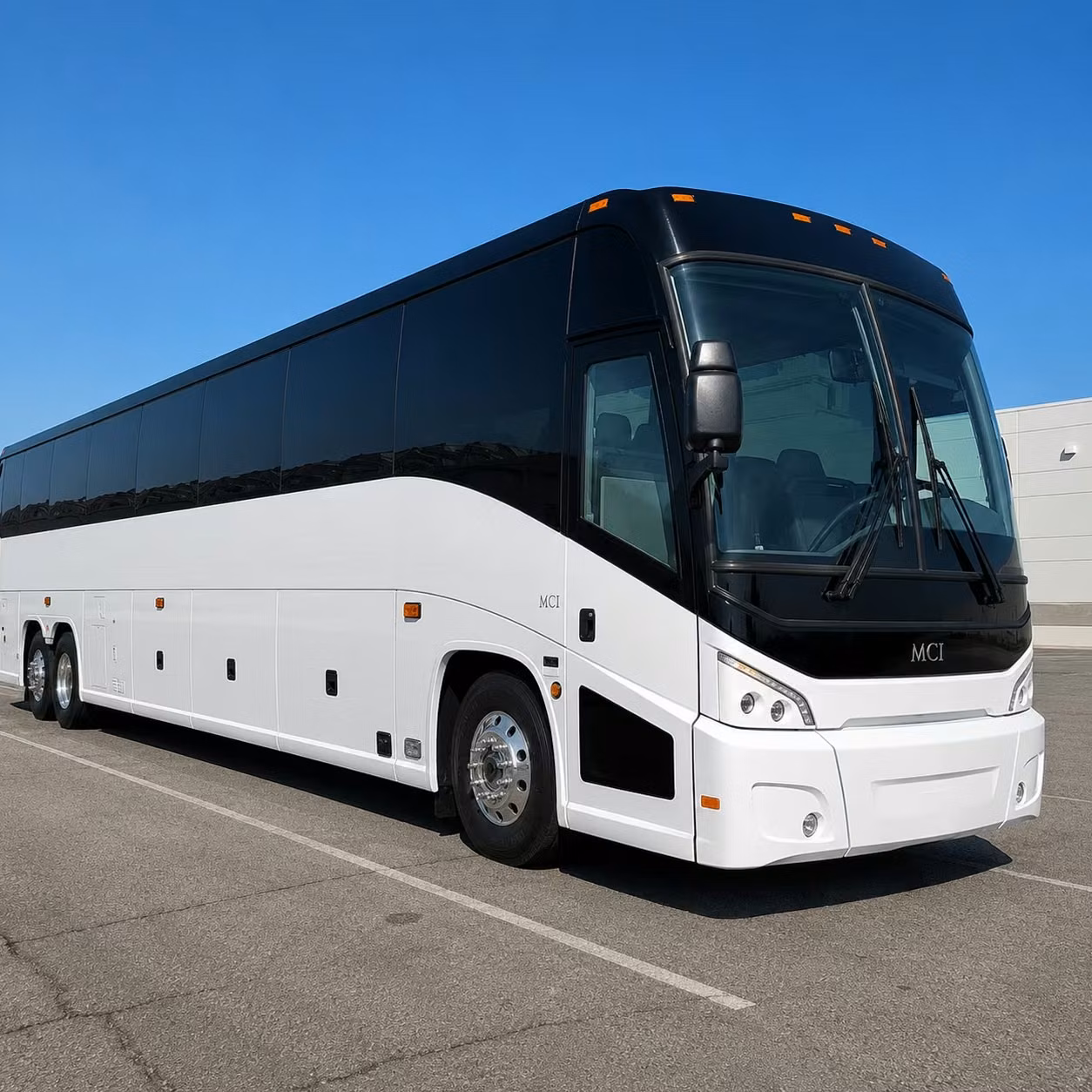 coachbusboise com is the go to for treefort music fest group transportation in boise