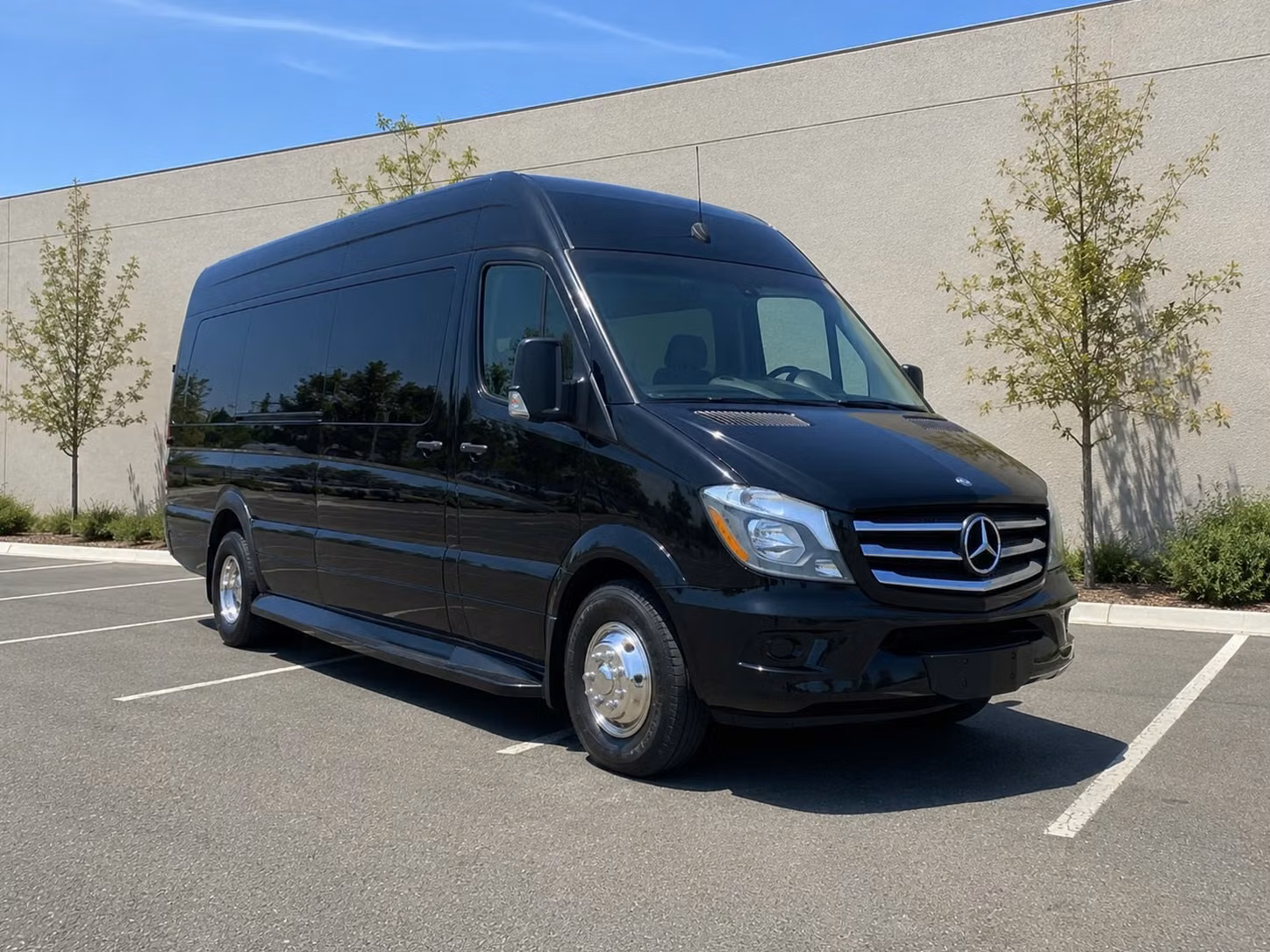 sprinter van with driver